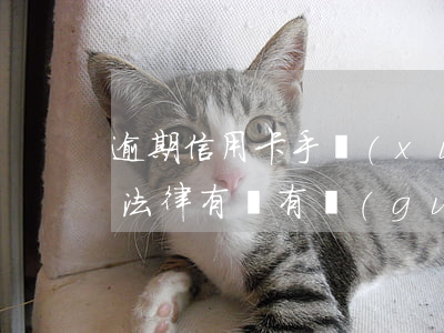 逾期信用卡手續(xù)費(fèi)多少(法律有沒有規(guī)定信用卡逾期收費(fèi)多少)