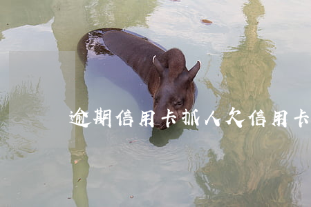 逾期信用卡抓人(欠信用卡的錢多久抓人)