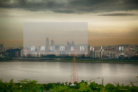 逾期信用卡持有人資料-有信用卡逾期的人嗎