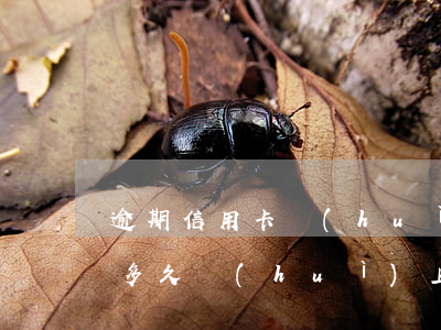 逾期信用卡會(huì)上門催收(欠信用卡多久會(huì)上門催收)