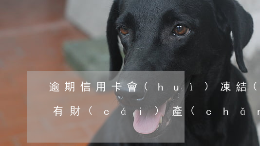 逾期信用卡會(huì)凍結(jié)所有財(cái)產(chǎn)嗎(逾期的信用卡被凍結(jié)了還能用嗎)
