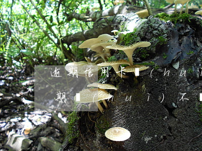 逾期信用卡會(huì)坐牢嗎(欠信用卡逾期會(huì)不會(huì)坐牢)