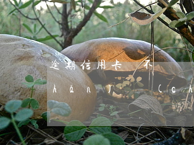 逾期信用卡會不會凍結(jié)資產(chǎn)(資產(chǎn)凍結(jié)會凍結(jié)信用卡嗎)