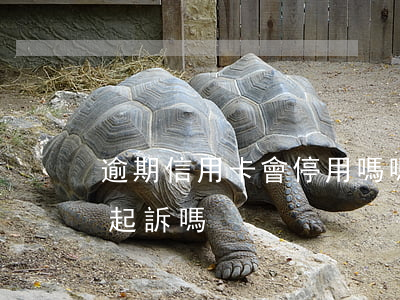 逾期信用卡會停用嗎嗎-欠信用卡逾期會被起訴嗎