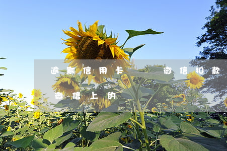 逾期信用卡會從微信扣款(欠信用卡的錢會扣微信上的錢嗎)