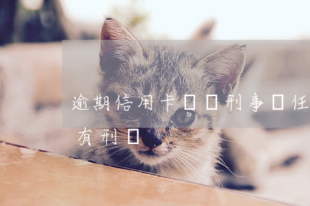 逾期信用卡會擔刑事責任(大額信用卡逾期會有刑責)