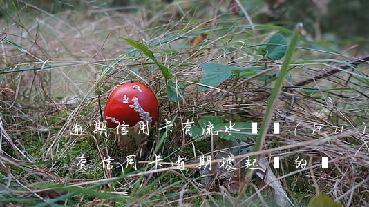 逾期信用卡有流水還會(huì)被起訴嗎(有信用卡逾期被起訴的嗎)