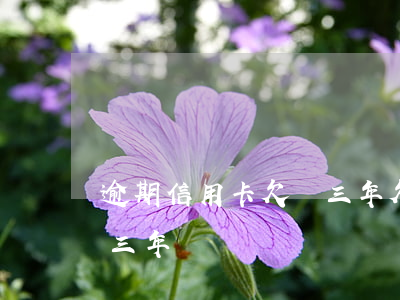 逾期信用卡欠債三年(欠信用卡3000逾期三年)