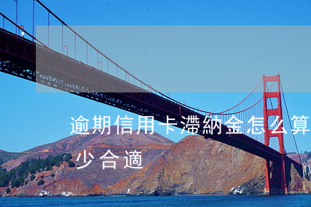 逾期信用卡滯納金怎么算(逾期付款滯納金多少合適)
