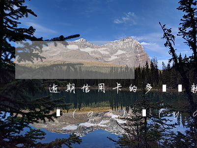 逾期信用卡的多嗎(貸款逾期和信用卡逾期哪個(gè)嚴(yán)重)