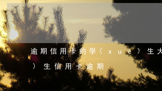 逾期信用卡的學(xué)生(大學(xué)生信用卡逾期)