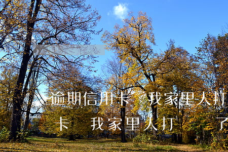 逾期信用卡給我家里人打電話了-逾期信用卡給我家里人打電話了怎么辦