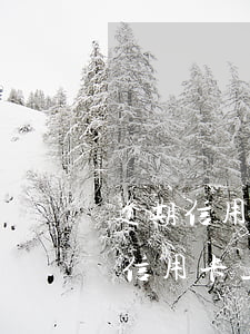 逾期信用卡經(jīng)常收上門抓人(欠信用卡上門來的會怎樣)