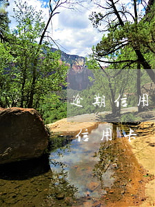 逾期信用卡網(wǎng)貸還款順序(逾期信用卡網(wǎng)貸還款順序)