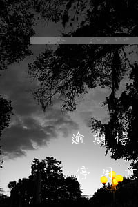 逾期信用卡被停用意味著什么(逾期信用卡被停用意味著什么呢)