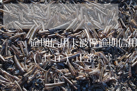 逾期信用卡被停(逾期信用卡被停了怎么恢復(fù)正常)