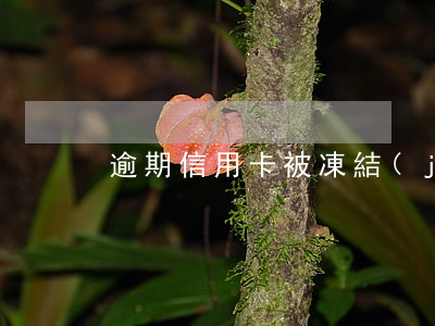 逾期信用卡被凍結(jié)但有額度