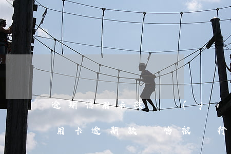 逾期信用卡被凍結(jié)銷戶(還清了信用卡逾期款為啥被銀行把卡凍結(jié)了)