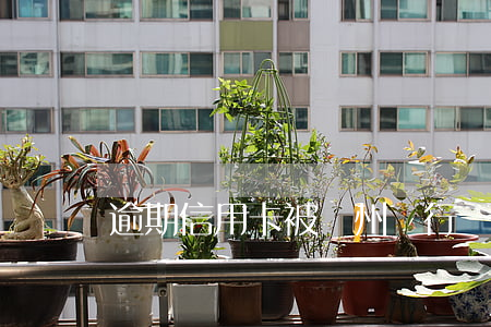 逾期信用卡被廣州銀行