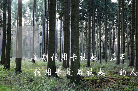 逾期信用卡被起訴后果-有沒(méi)有信用卡逾期被起訴的人