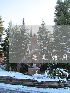 逾期信用卡被起訴(逾期信用卡被起訴,還了會(huì)扯案嗎)