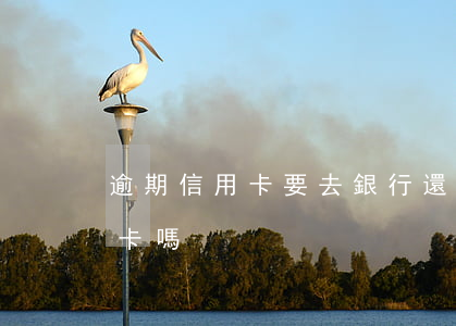 逾期信用卡要去銀行還(逾期了還能申請信用卡嗎)