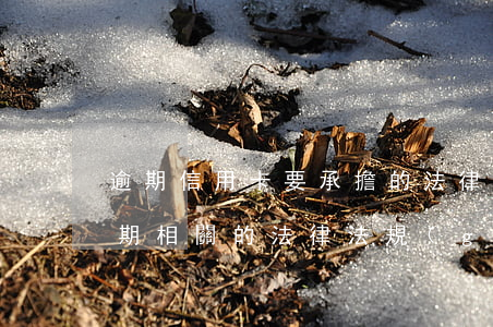 逾期信用卡要承擔的法律責任-與信用卡逾期相關的法律法規(guī)