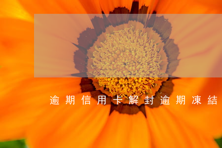 逾期信用卡解封(逾期凍結(jié)信用卡)