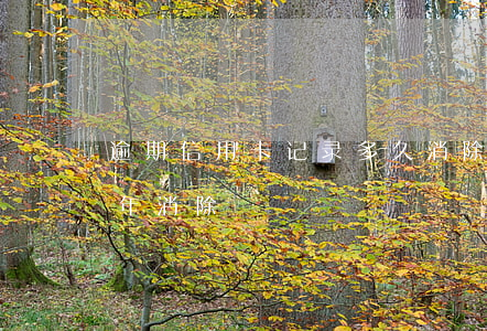 逾期信用卡记录多久消除(信用卡逾期记录几年消除)