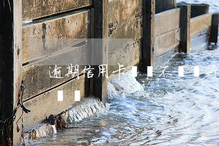 逾期信用卡賬單不變(銀行的信用卡賬單會出錯嗎)