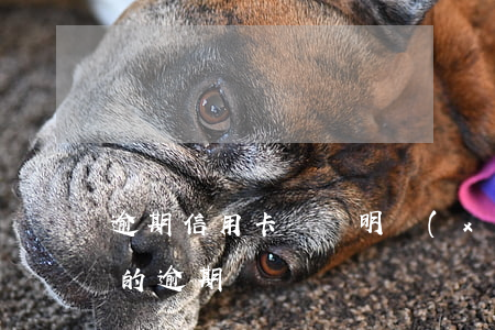 逾期信用卡賬單明細(xì)(怎么查信用卡的逾期記錄)