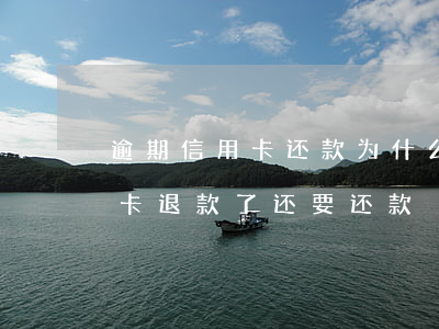 逾期信用卡还款为什么会被退款 为什么信用卡退款了还要还款