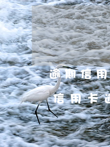 逾期信用卡這個為什么直崔(為什么這么多人信用卡逾期)