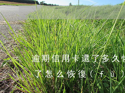 逾期信用卡還了多久恢復(fù)額度(逾期了怎么恢復(fù)額度)