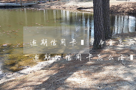 逾期信用卡還了本金怎么銷(xiāo)卡(逾期的信用卡怎么注銷(xiāo))