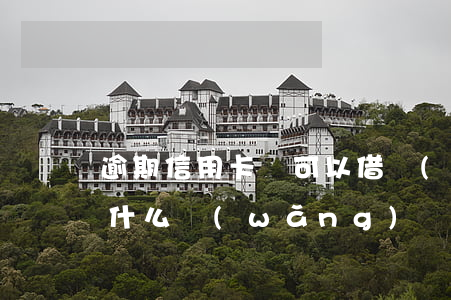 逾期信用卡還可以借網(wǎng)貸嗎(為什么網(wǎng)貸逾期還能辦信用卡)