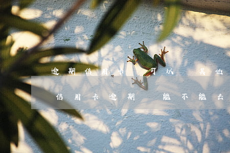 逾期信用卡還可以辦其他儲蓄卡嗎-如果有信用卡逾期還能不能去其他銀行貸款
