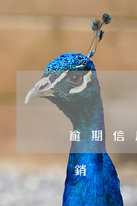 逾期信用卡還完就注銷嗎(信用卡逾期還清注銷)