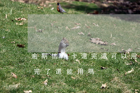 逾期信用卡還完還可以用么(逾期的信用卡還完了還能用嗎)