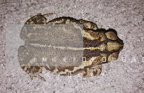 逾期信用卡還完還能開通嗎-逾期還完多久可以申請信用卡