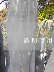 逾期信用卡還完錢多久可以再刷-逾期信用卡還完錢多久可以再刷出來