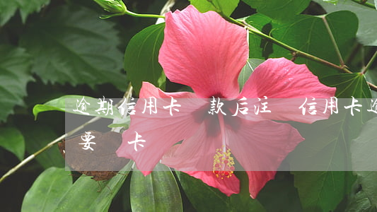 逾期信用卡還款后注銷(信用卡逾期還清后需要銷卡嗎)