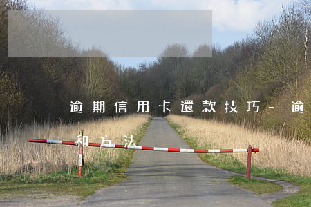 逾期信用卡還款技巧-逾期信用卡還款技巧和方法