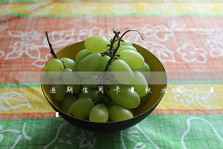 逾期信用卡還款攻略(忘記還信用卡逾期怎么辦)