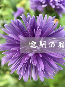 逾期信用卡還款流程(還貸卡逾期怎么辦)