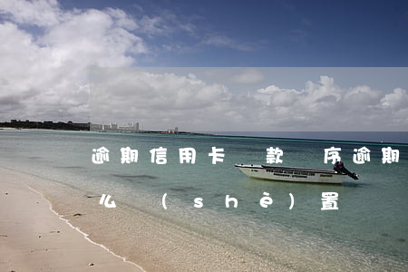 逾期信用卡還款 順序(逾期信用卡還款 順序怎么設(shè)置)