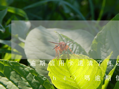 逾期信用卡還清了可以首付買(mǎi)車(chē)嗎（逾期信用卡還清了）