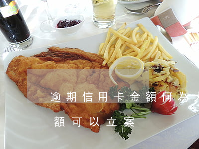 逾期信用卡金額何為大額(信用卡逾期多少金額可以立案)
