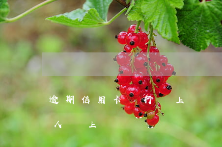 逾期信用卡銀行會上門嗎(信用卡逾期銀行的人會上門嗎)