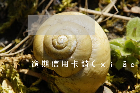 逾期信用卡銷(xiāo)卡正確流程